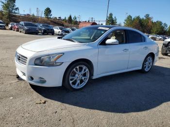  Salvage Nissan Maxima