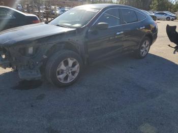  Salvage Honda Crosstour