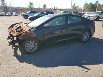  Salvage Hyundai ELANTRA