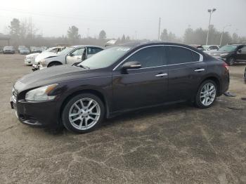  Salvage Nissan Maxima