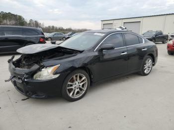  Salvage Nissan Maxima