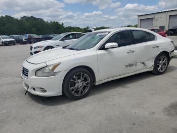  Salvage Nissan Maxima