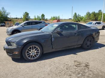  Salvage Ford Mustang