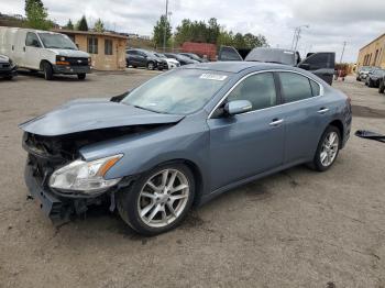  Salvage Nissan Maxima