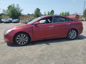  Salvage Hyundai SONATA