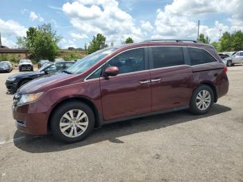  Salvage Honda Odyssey