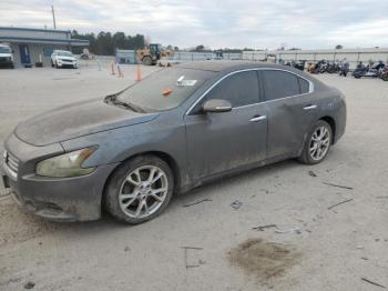  Salvage Nissan Maxima