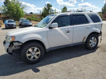  Salvage Ford Escape