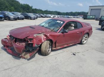 Salvage Ford Mustang