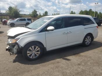  Salvage Honda Odyssey