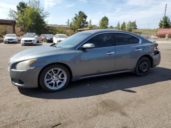  Salvage Nissan Maxima