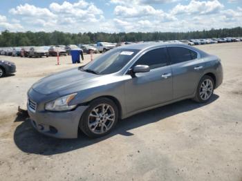  Salvage Nissan Maxima