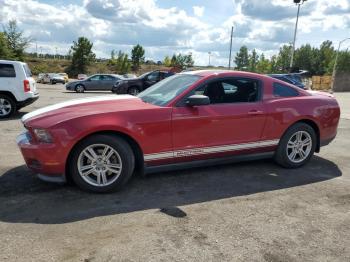  Salvage Ford Mustang