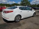 Kia Optima Hybrid Image 4