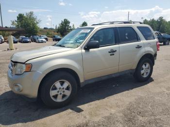  Salvage Ford Escape