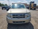 Ford Escape Xlt Image 9
