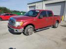 Ford F-150 Supercrew Image 1