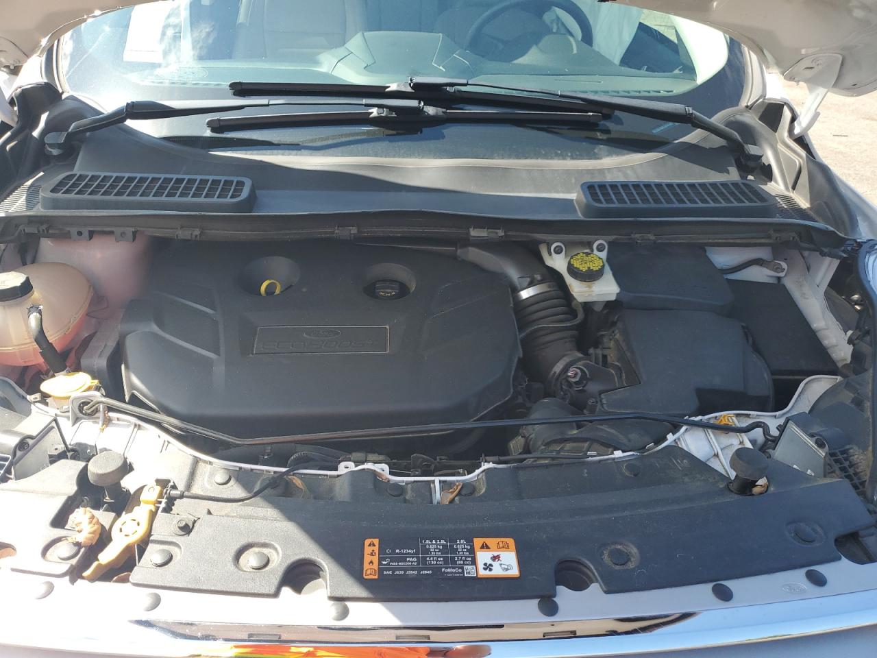 Ford Escape Titanium Image 7