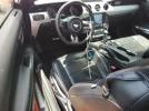 Ford Mustang Image 9