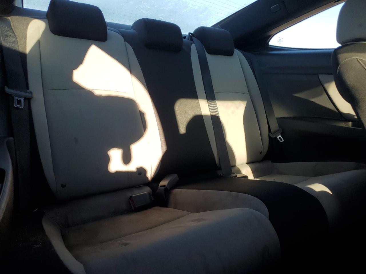 Honda Civic Ex Image 6