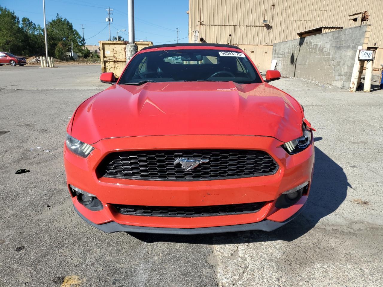 Ford Mustang Image 2
