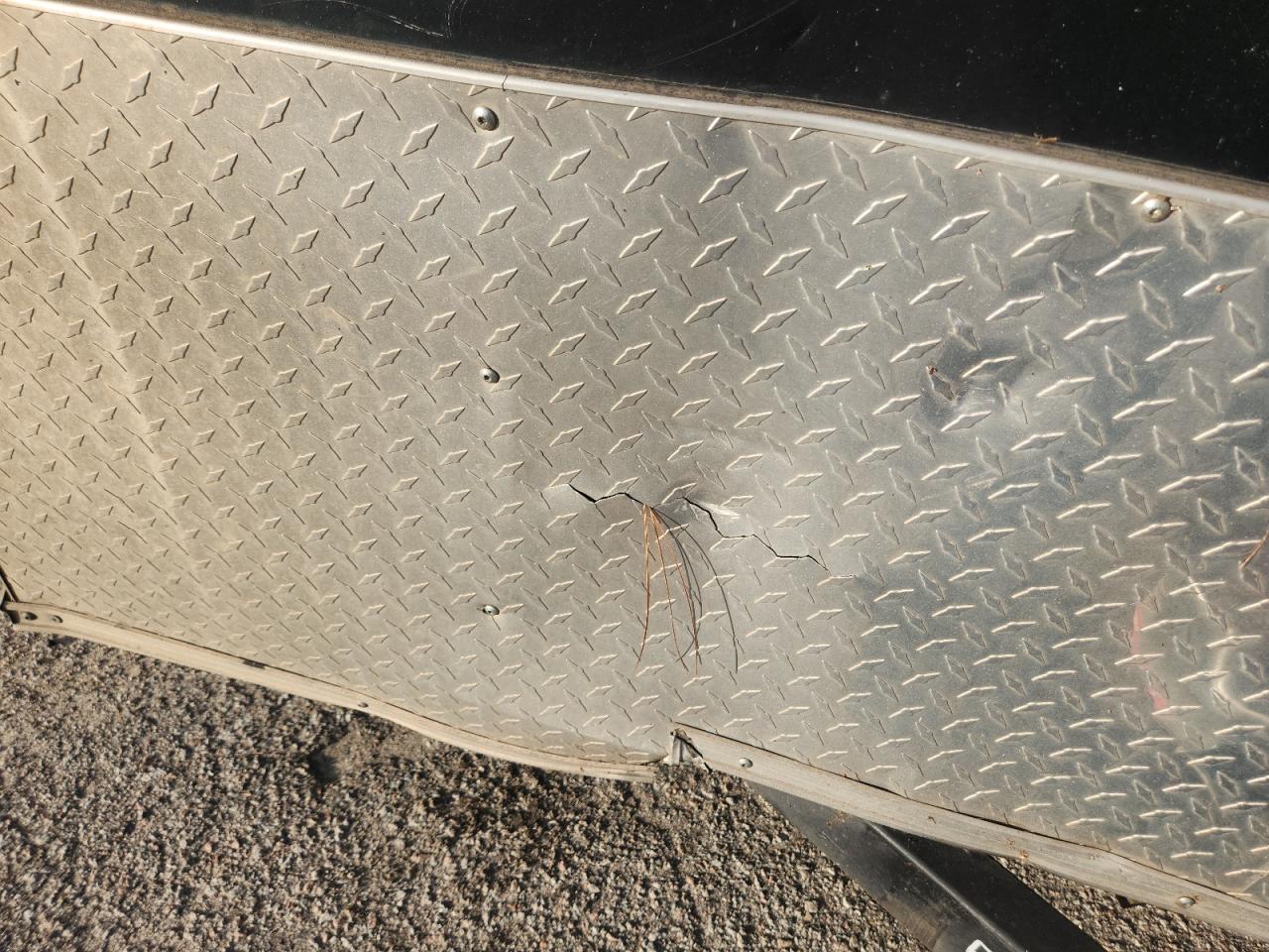 South Georgia Other Image 8