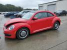 Volkswagen Beetle Image 1