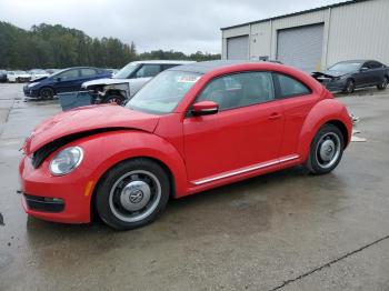  Salvage Volkswagen Beetle