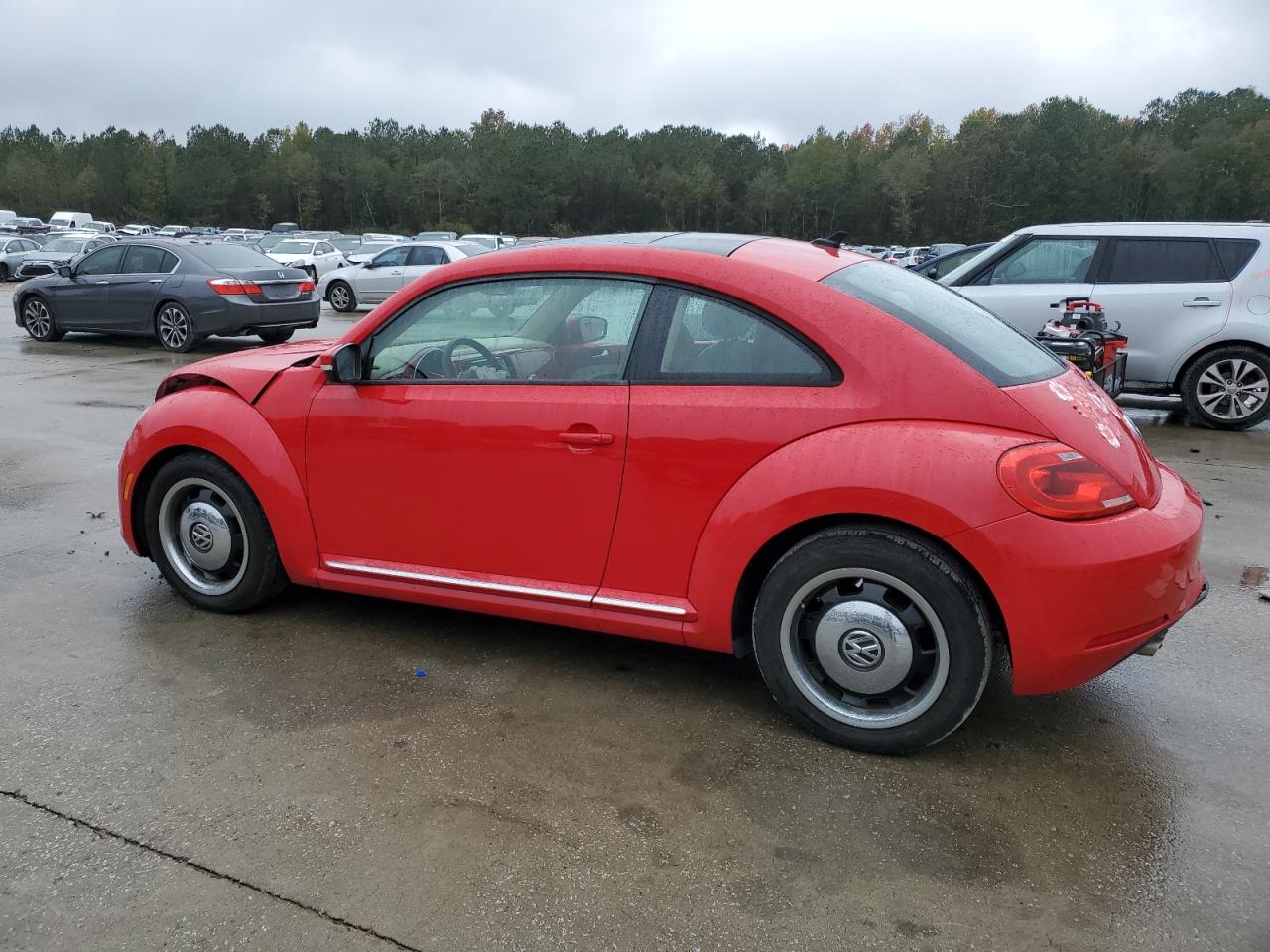 Volkswagen Beetle Image 4