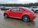 Volkswagen Beetle Image 4
