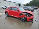 Volkswagen Beetle Image 10