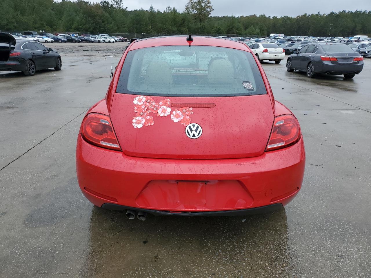 Volkswagen Beetle Image 3