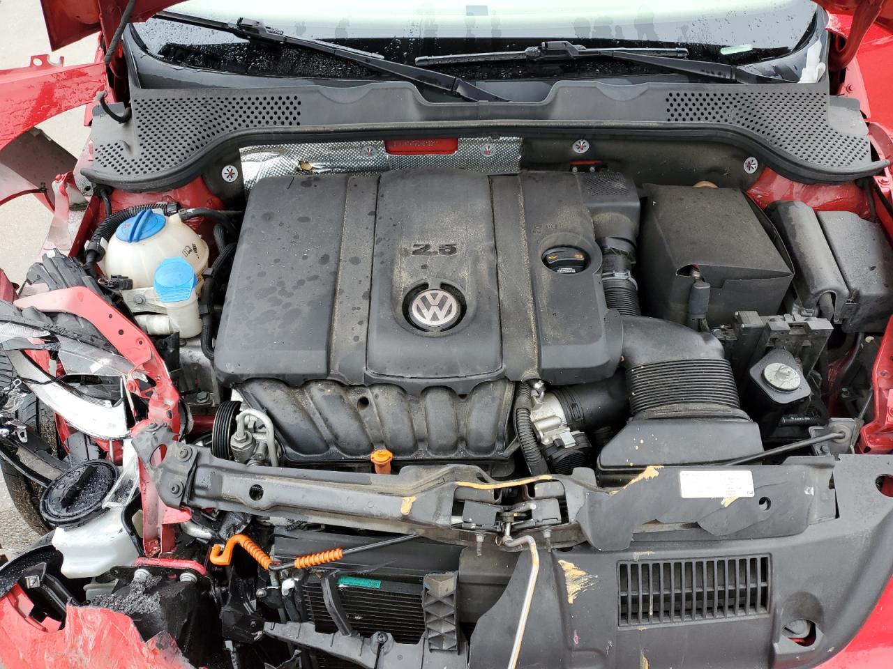 Volkswagen Beetle Image 6