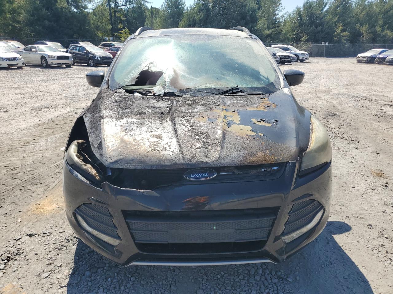 Ford Escape Se Image 6