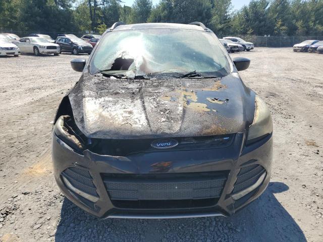 Ford Escape Se Image 6