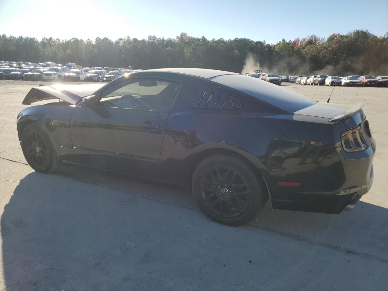 Ford Mustang Image 6