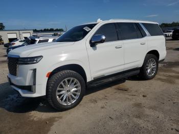  Salvage Cadillac Escalade