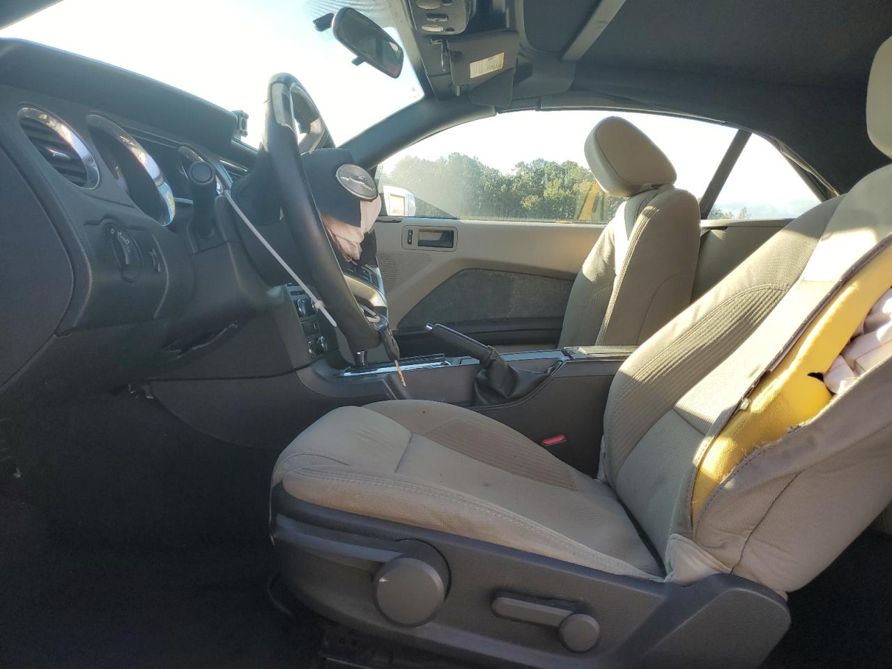 Ford Mustang Image 3