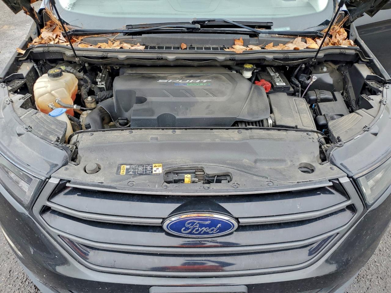 Ford Edge Sport Image 4