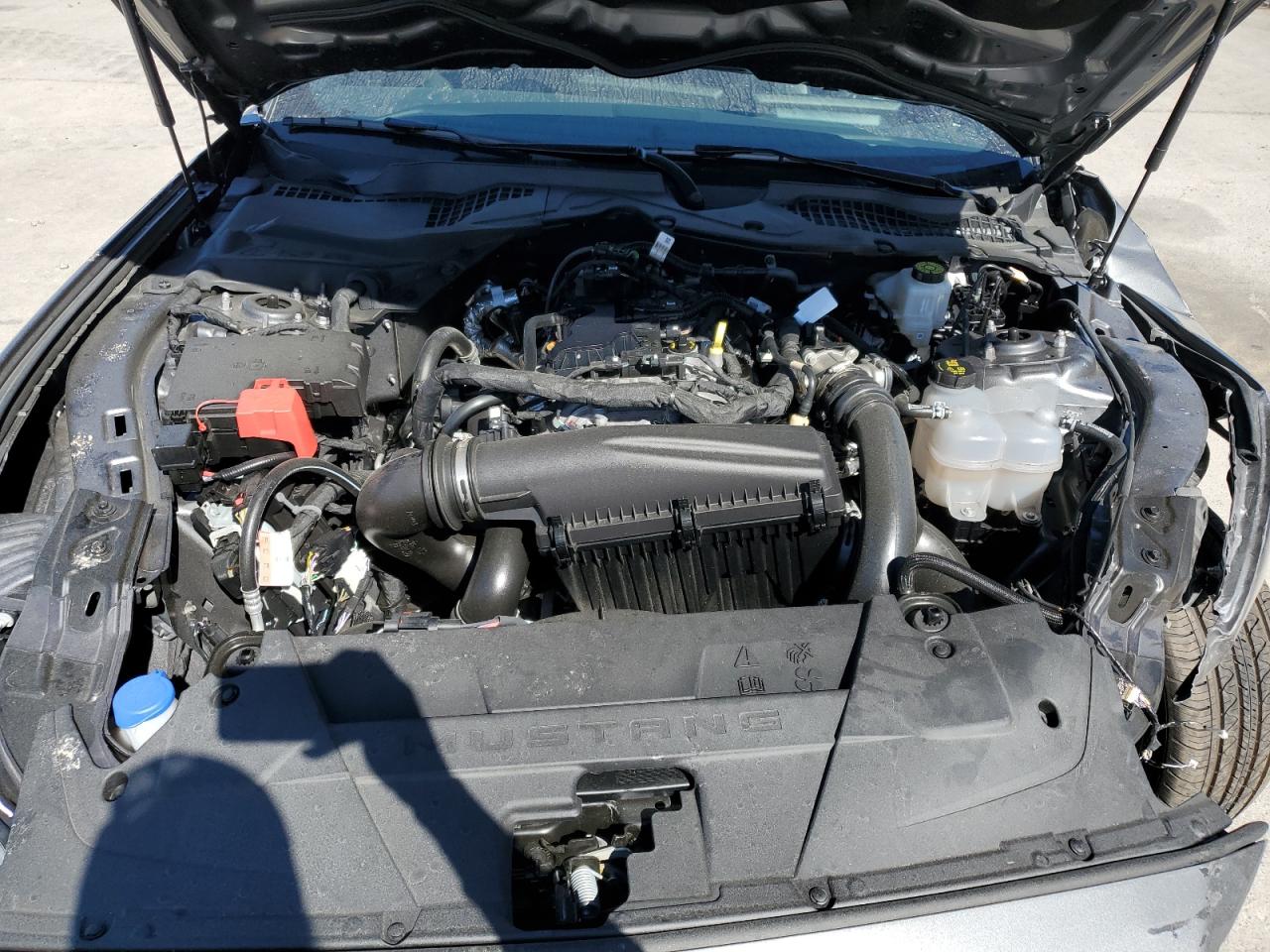 Ford Mustang Image 4