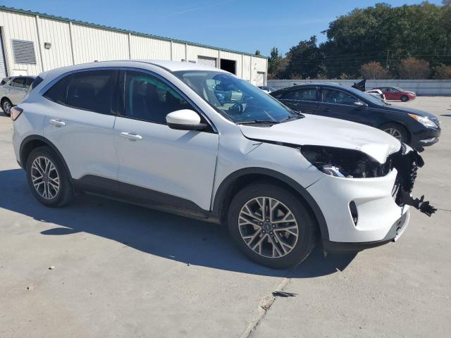 Ford Escape Sel Image 11