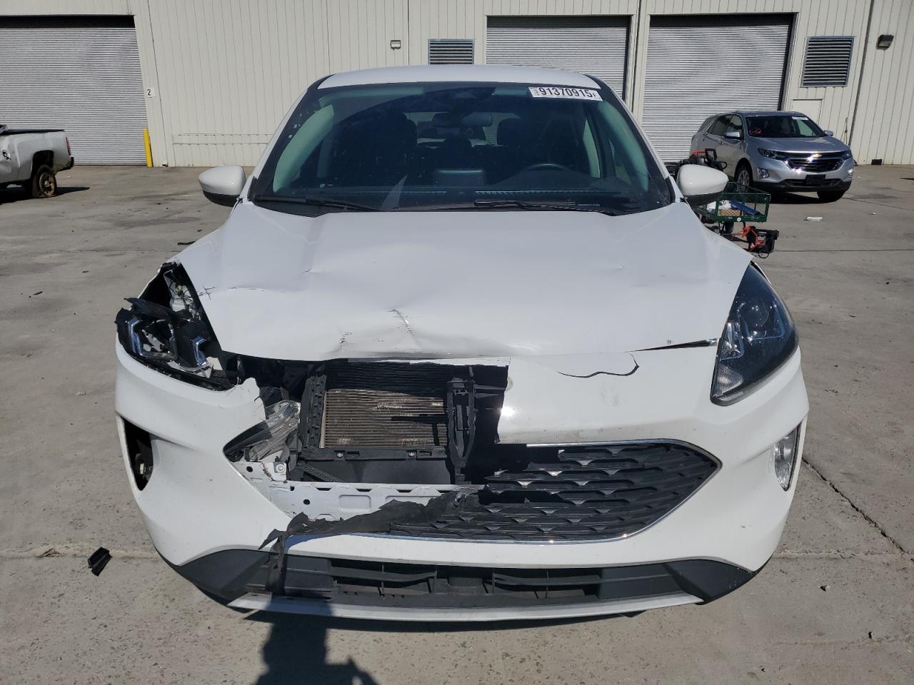 Ford Escape Sel Image 8