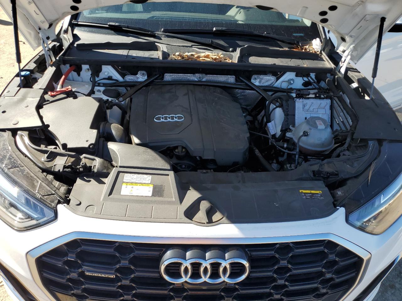 Audi Q5 Premium Plus 45 Image 13