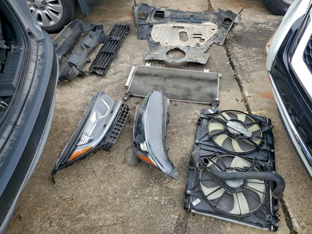 Honda Crv Lx Image 6