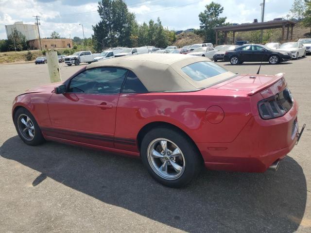 Ford Mustang Image 4