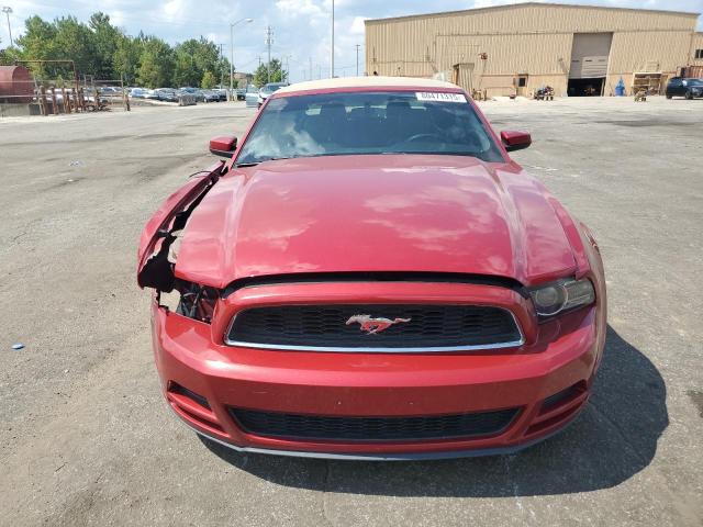 Ford Mustang Image 3