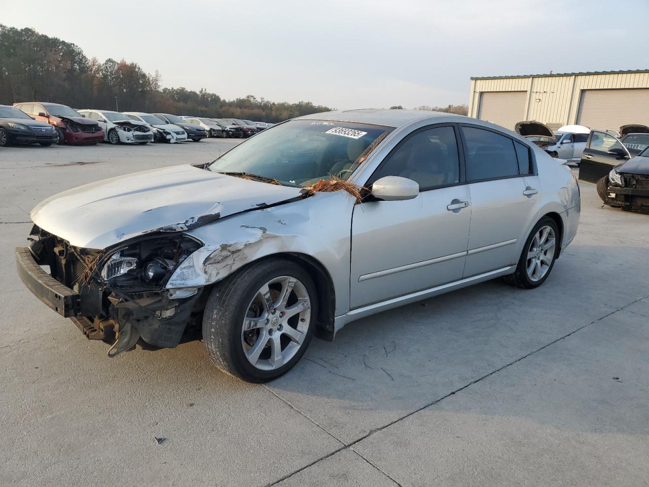 Nissan Maxima Se Image 1