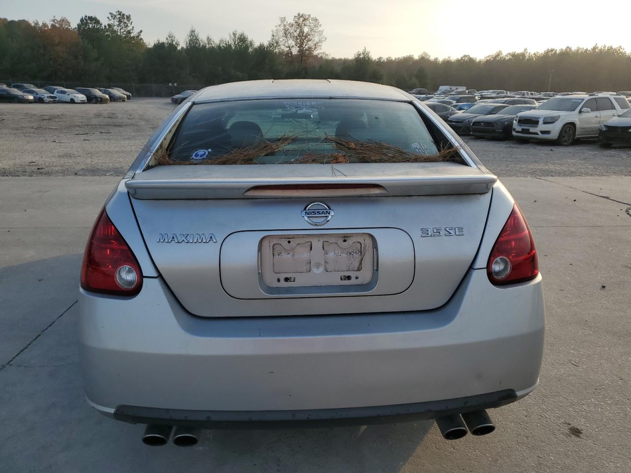 Nissan Maxima Se Image 4