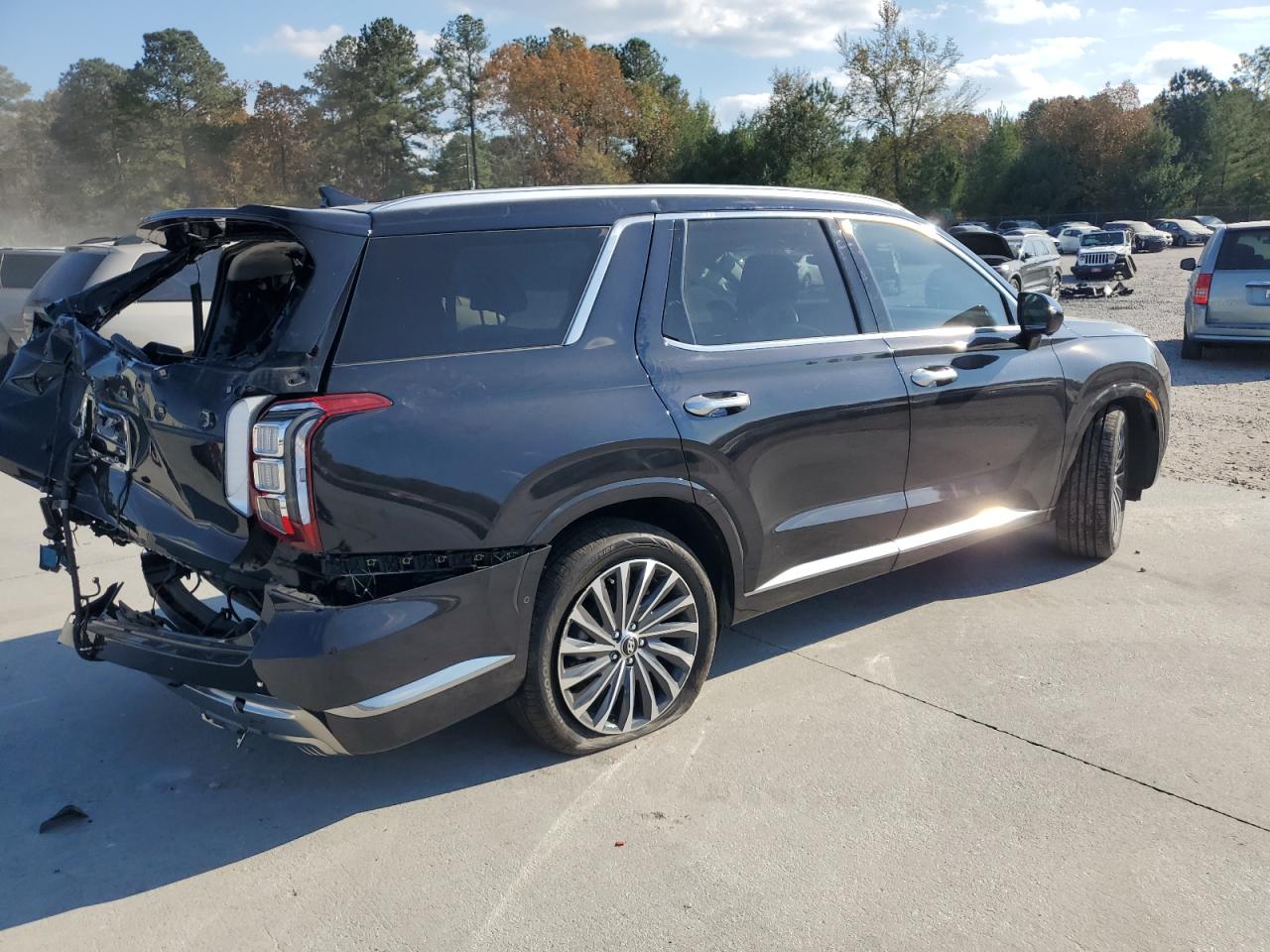 Hyundai PALISADE Calligraphy Image 4