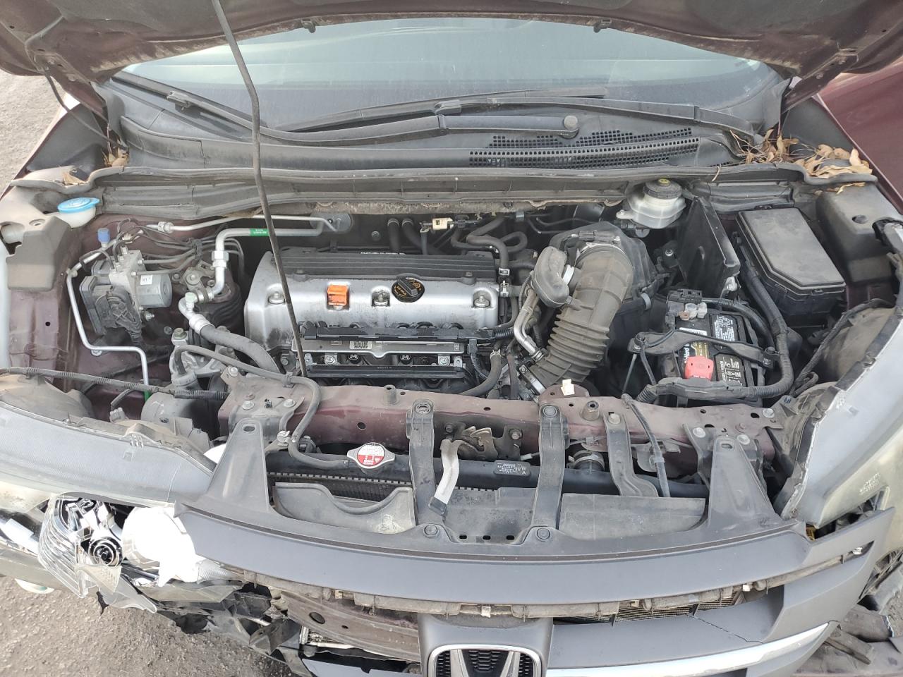 Honda Crv Lx Image 3